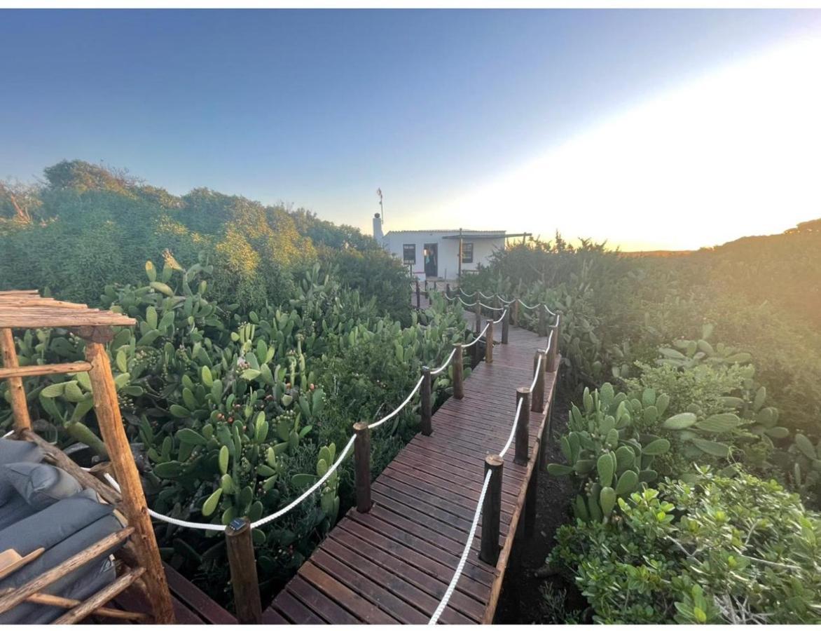 Ostrich Cottage At Les Wings Private Game Farm Groot-Jongensfontein Exterior photo